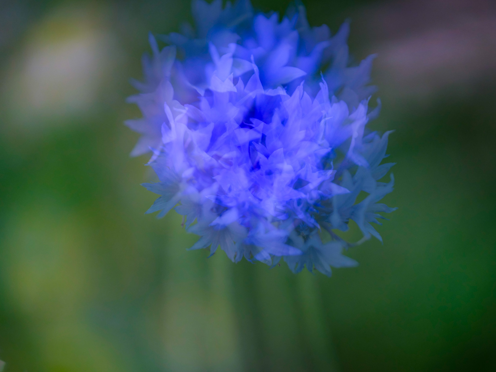 2024 06 07  xt 5   2711